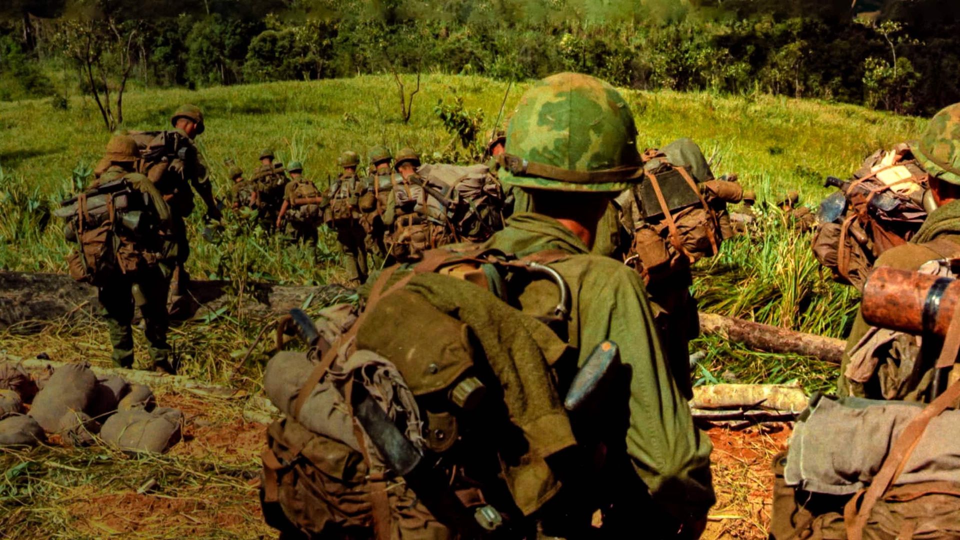 Vietnam: 50 Years Remembered Backdrop