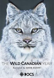  The Wild Canadian Year Poster