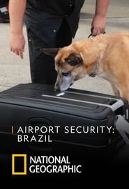 Airport Security: São Paulo Poster