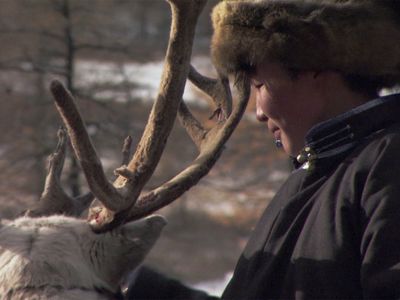 Season 01, Episode 501 Tracking the White Reindeer