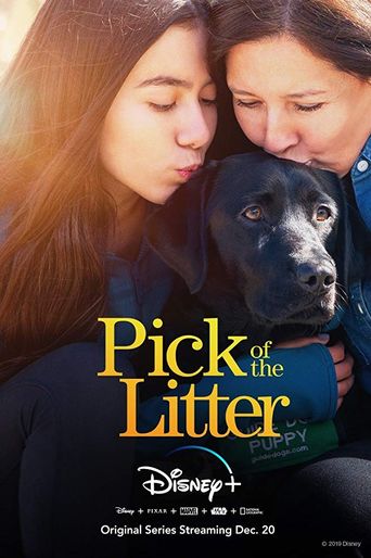  Pick of the Litter Poster