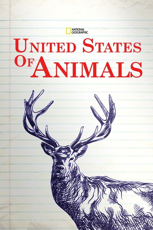 United States of Animals Poster