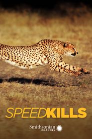  Speed Kills Poster