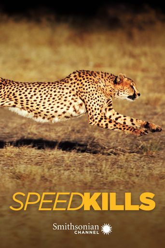  Speed Kills Poster