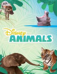  Disney Animals Poster
