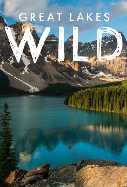 Great Lakes Wild Poster