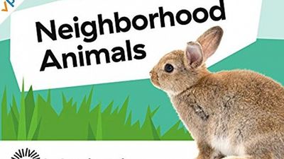 Season 01, Episode 03 Neighborhood Animals