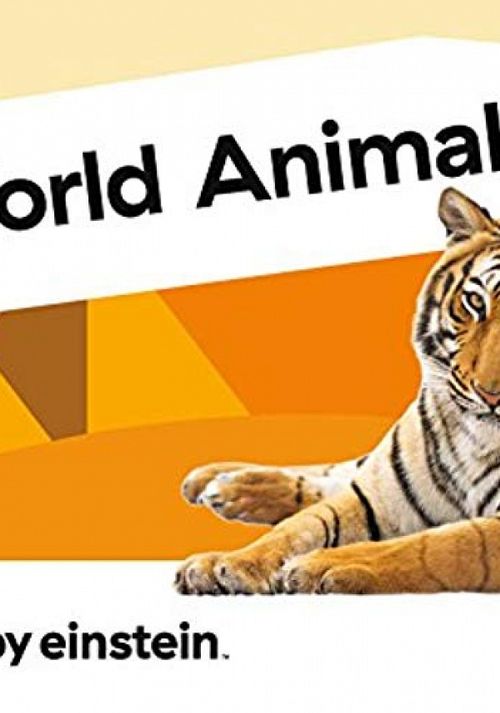 Animal Favorites Poster