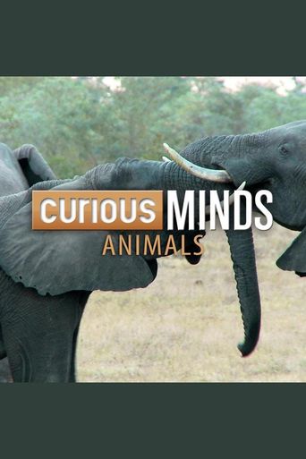 Curious Minds Animals Where To Watch And Stream Online Reelgood Curious Minds Animals Where To Watch And Stream Online Reelgood