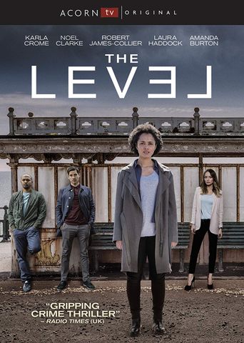  The Level Poster