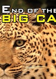 End of the Big Cats Poster