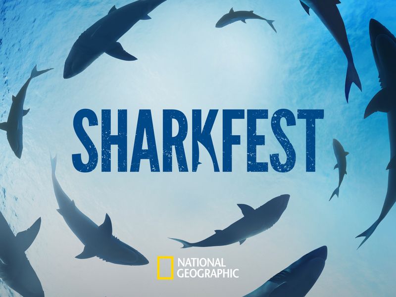 National Geographic Sharkfest Season 1 Where To Watch Every Episode
