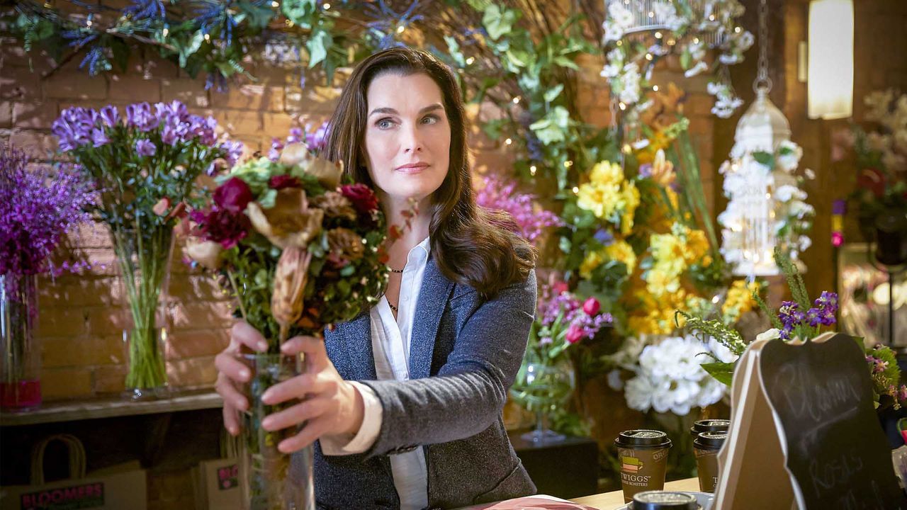 Flower Shop Mysteries Where to Watch and Stream Online Reelgood