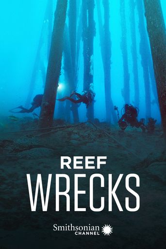  Reef Wrecks Poster