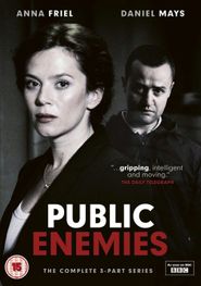  Public Enemies Poster
