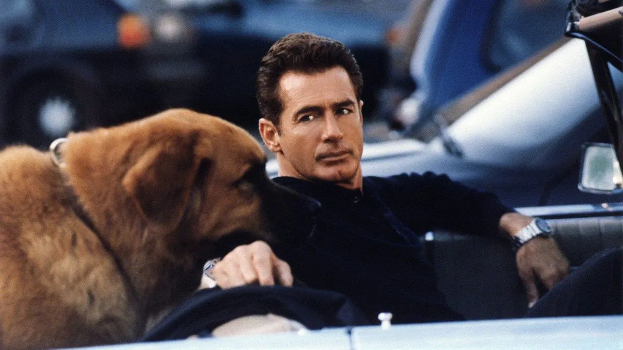 Tequila and Where to Watch and Stream Online Reelgood