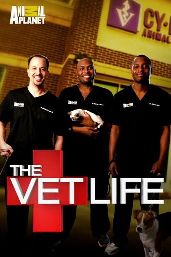  The Vet Life Poster