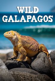  Wild Galápagos Poster