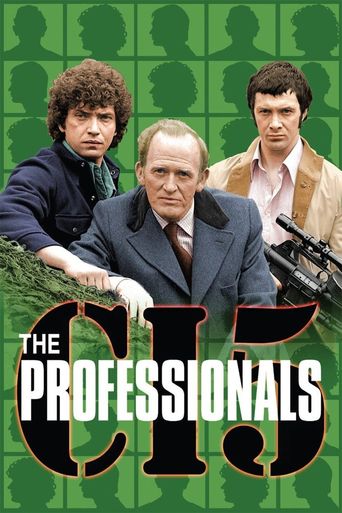  The Professionals Poster