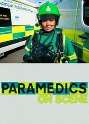  Paramedics on Scene Poster
