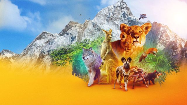Animal Backdrop