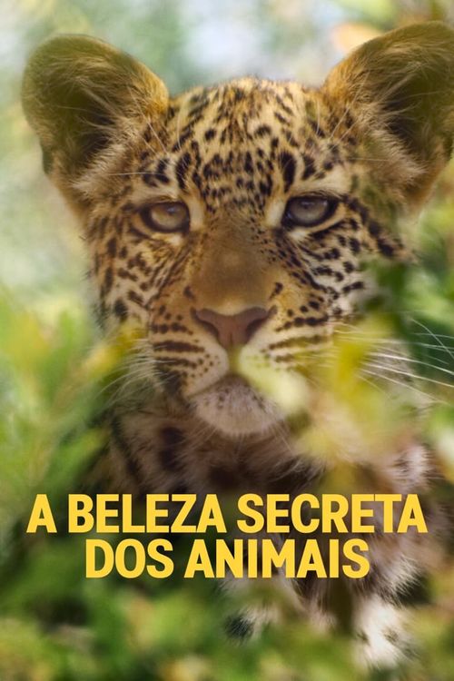 Animal Season 1 Poster