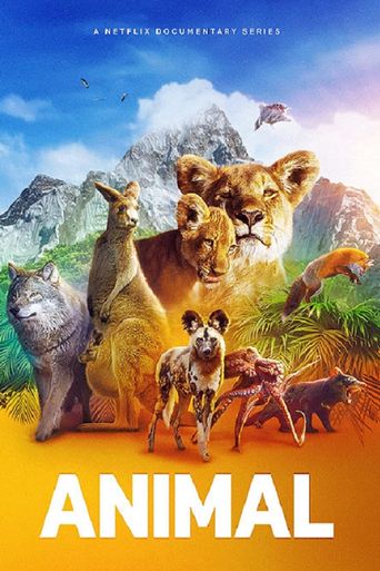 Animal Poster