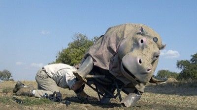Season 2008, Episode 00 Undercover Hippo