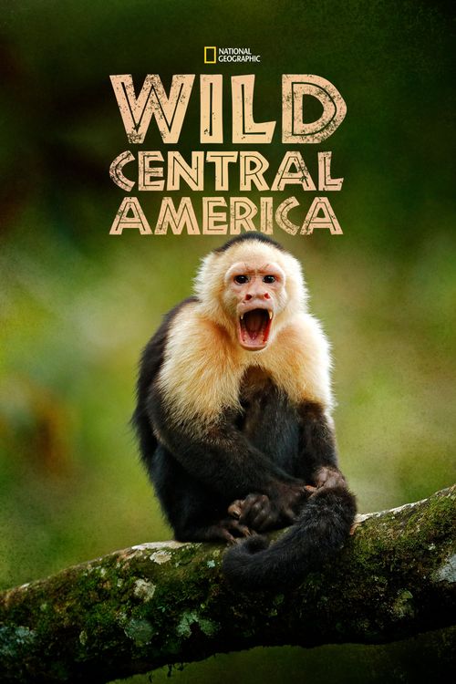 Wild Central America Poster