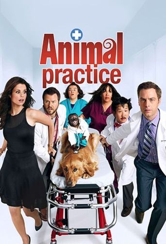  Animal Practice Poster