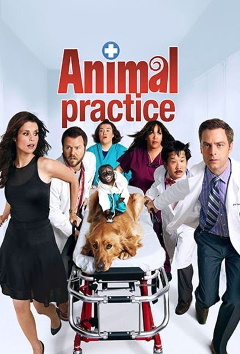 Animal Practice Poster