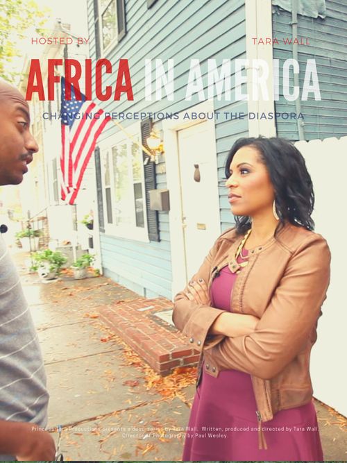 Africa in America Poster