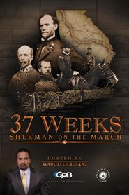  37 Weeks Poster