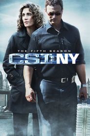 CSI: NY Season 5 Poster