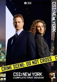 CSI: NY Season 1 Poster