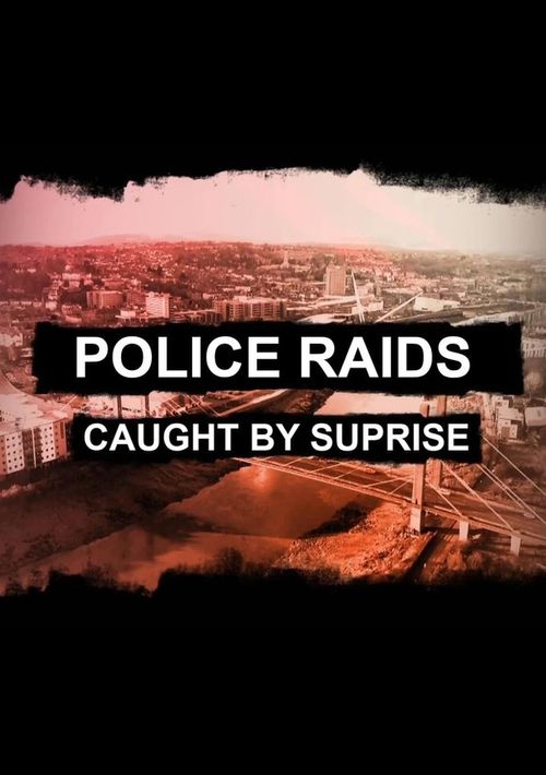 Police Raids: Caught by Surprise Poster