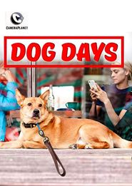  Dog Days Poster