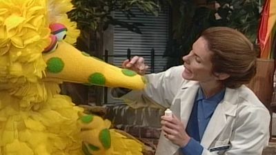 Season 27, Episode 39 Big Bird Has Birdy Pox