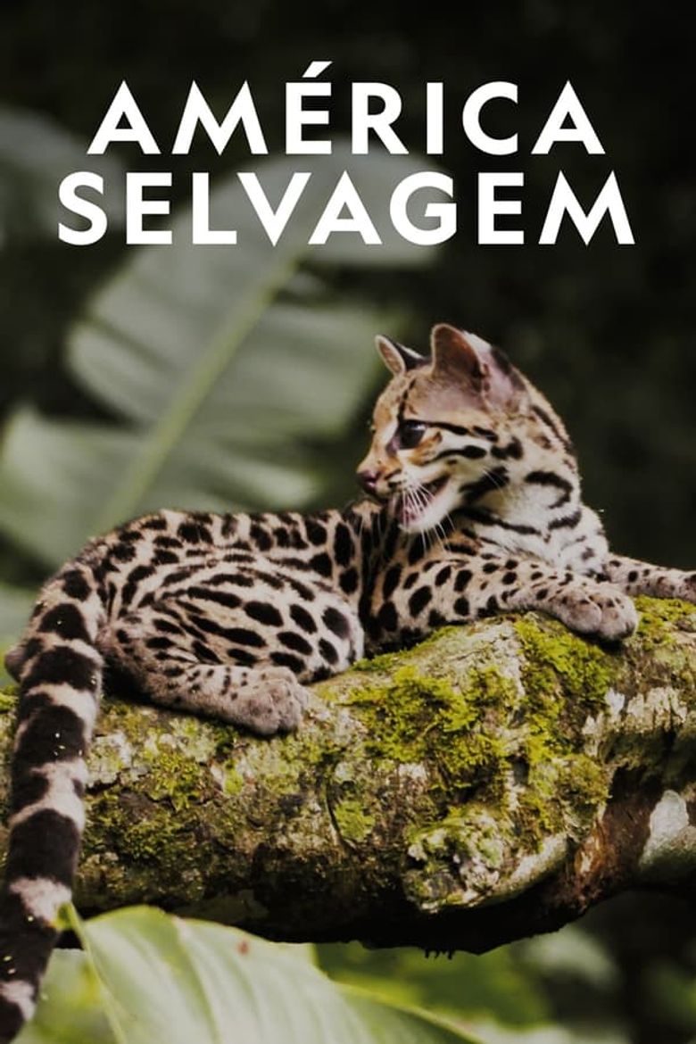 Wild Latam