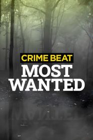  Crime Beat: Most Wanted Poster