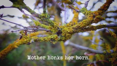 Season 07, Episode 08 Mother Honks Her Horn