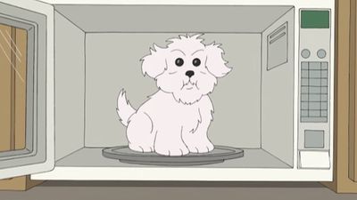 Season 01, Episode 50 What Happens if You Feed a Dog Chocolate While He Wears a Tin Foil Hat in the Microwave