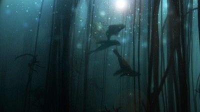 Season 19, Episode 15 Golden Seals of the Skeleton Coast