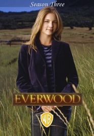 Everwood Season 3 Poster