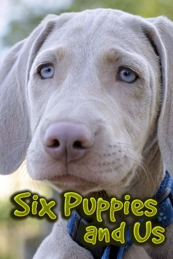  Six Puppies and Us Poster