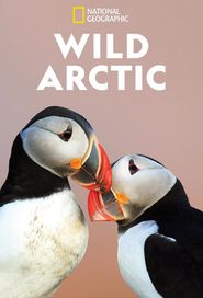 Destination Wild: Wild Arctic Poster