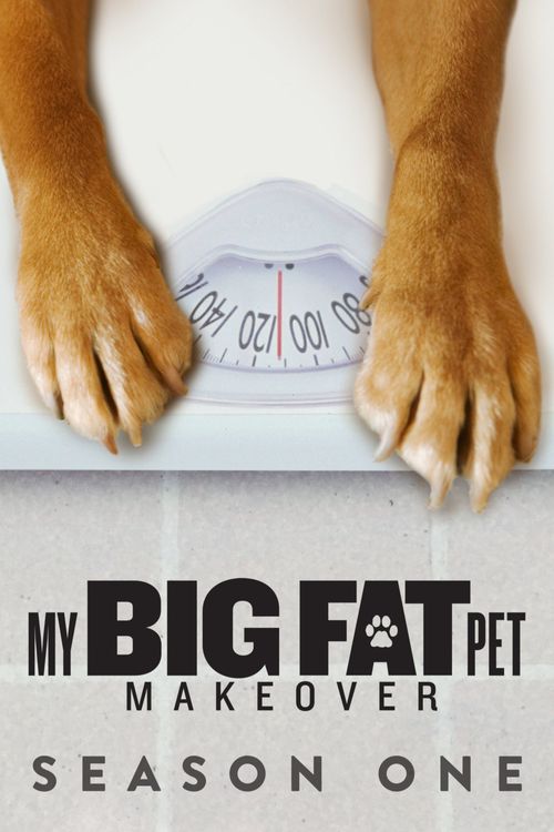 My big fat pet makeover full episodes sale