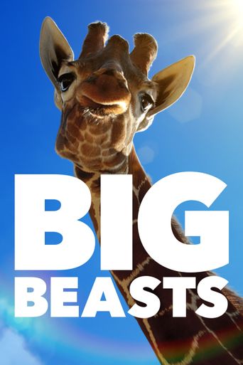  Big Beasts Poster