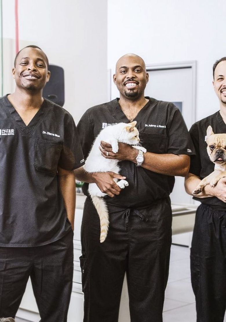 The Vet Life: Extreme Animal Encounters