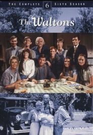 The Waltons Season 6 Poster